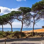Cantinho D'aldeia