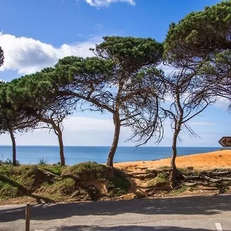 Cantinho D'aldeia